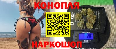 крисы Малгобек