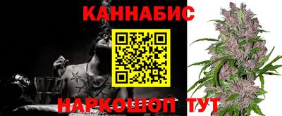 крисы Малгобек