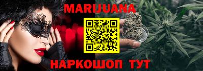 крисы Малгобек