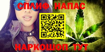 сатива Малоярославец