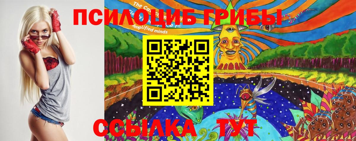 Юрга  где найти   Вход с VPN  Псилоцибиновые грибы MAGIC MUSHROOMS 
