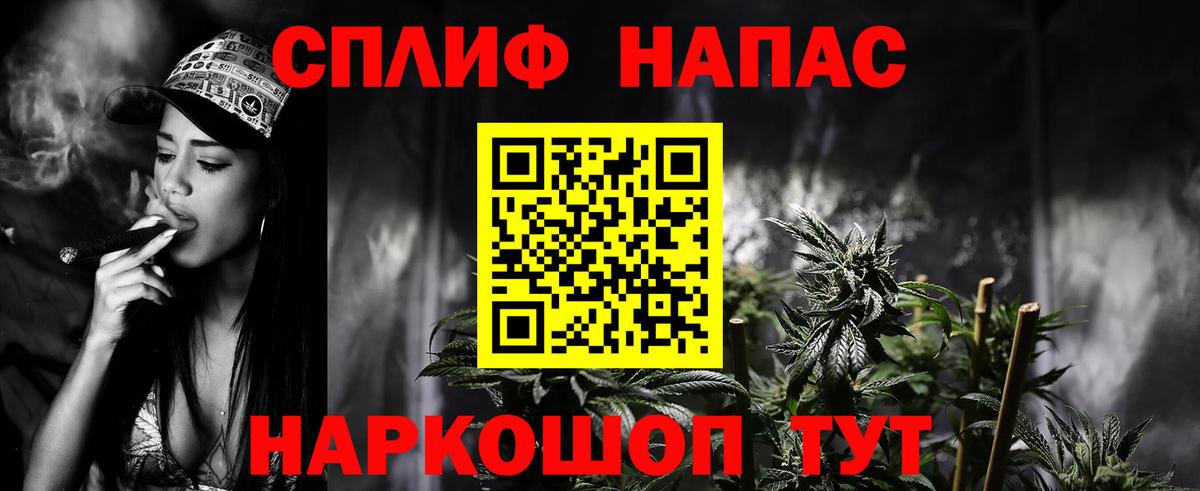 Юрга  Бошки Шишки OG Kush  Канабис семена  Вход с VPN 